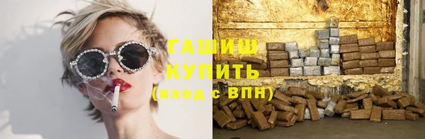 прущие грибы Алзамай