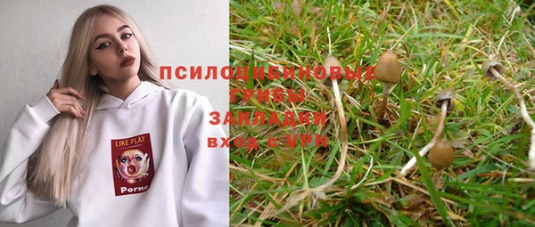 круглые Инсар