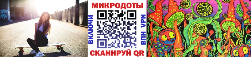 Галлюциногенные грибы Psilocybine cubensis  Урень 